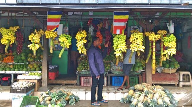 斯里蘭卡 Sri Lanka