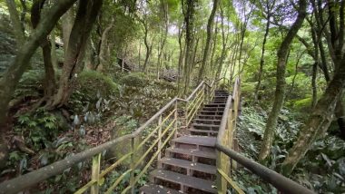 青楓步道