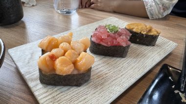 侍悟丸